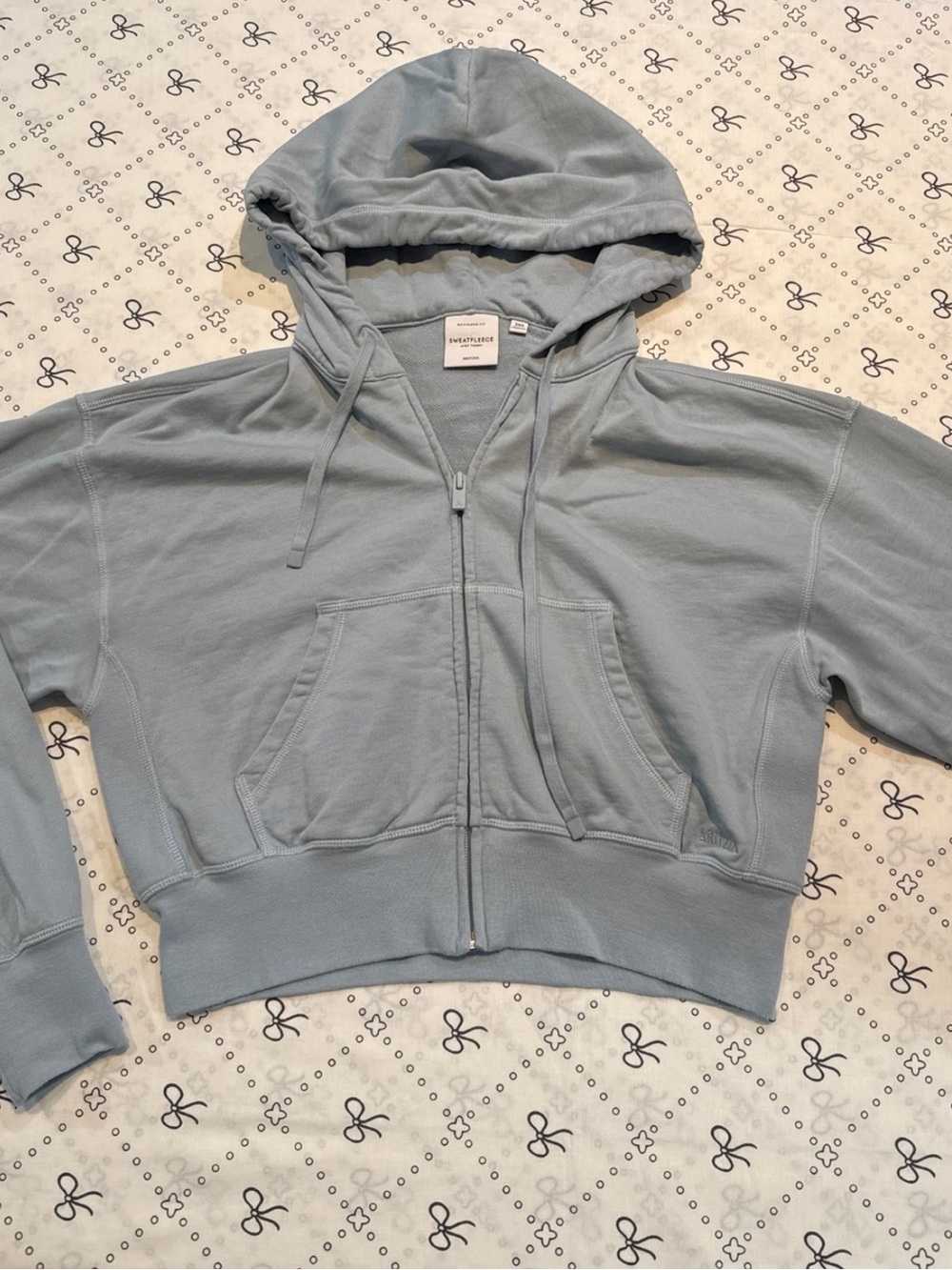 Aritzia Blue Boyfriend Fit Sweatfleece Airy Terry Zip Up Cropped Hoodie Size 2XS
